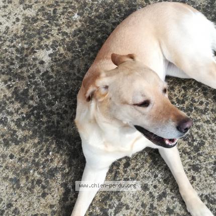 Foto 1/1 Jinna Chien perdido en Bain de bretagne