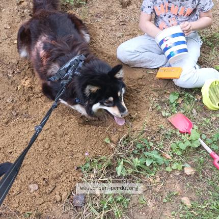 Foto 1/1 Vicky Chien perdido en Mouterre silly