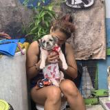 Foto de perro perdido en Malabon City