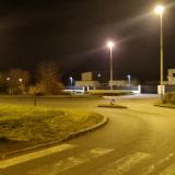 Foto de perro encontrado en Bruz