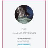 Foto de perro perdido en Ontario