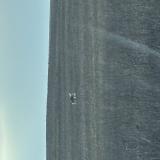 Foto de perro encontrado en Ferriere En Bray