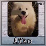 Foto de perro perdido en Agen