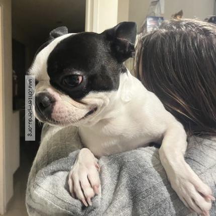 Foto 1/1 Tobias Chien perdido en Annot