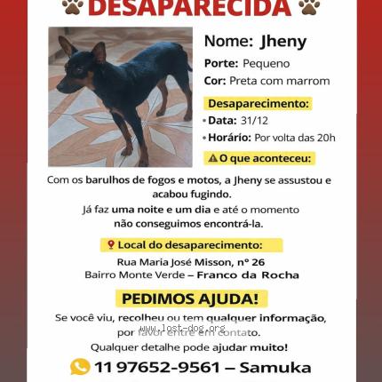 Foto 1/1 Perro encontrado Encontrado en Franco da rocha
