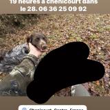 Foto de perro perdido en Villiers Le Morhier
