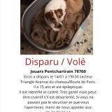Foto de perro perdido en Jouars Pontchartrain