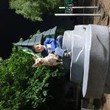 Foto de perro perdido en Fresno