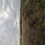 Foto de perro encontrado en Wallers