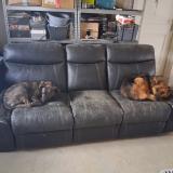 Foto de perro perdido en Montagnieu