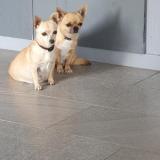 Foto de perro perdido en Mauguio