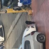 Foto de perro encontrado en Santo Domingo