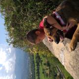 Foto de perro perdido en Serignan Du Comtat