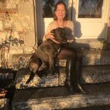 Foto de perro perdido en Donzac