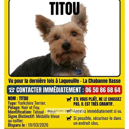 Foto de perro perdido en Laqueuille